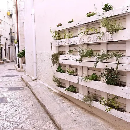 L'angolo Di Gaudi, Alcoba Fascinosa